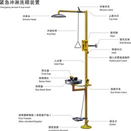 紧急冲淋洗眼装置